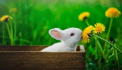 被苏亚雷斯吐口水的西雅图海湾人工作人员：我本以为他会咬我